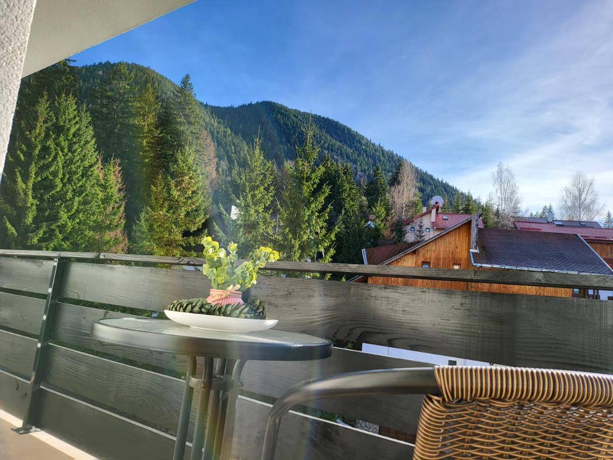 Dinvis Apartments Poiana Braşov Dış mekan fotoğraf