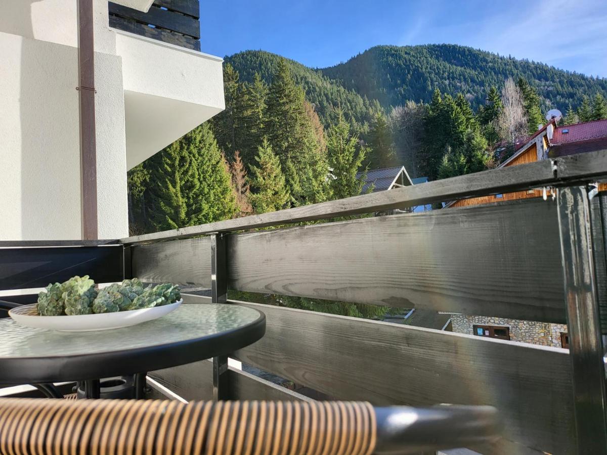 Dinvis Apartments Poiana Braşov Dış mekan fotoğraf