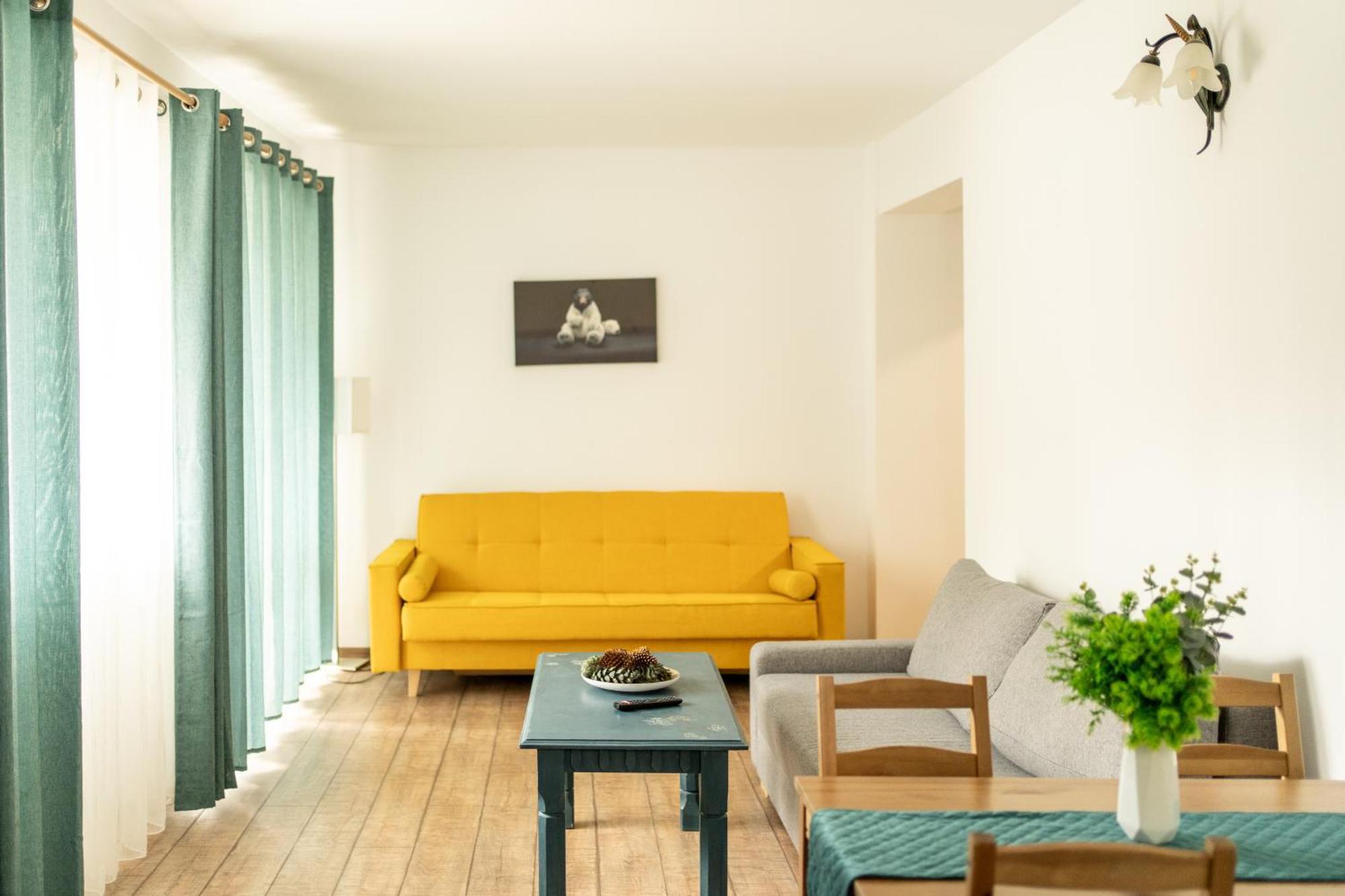 Dinvis Apartments Poiana Braşov Dış mekan fotoğraf