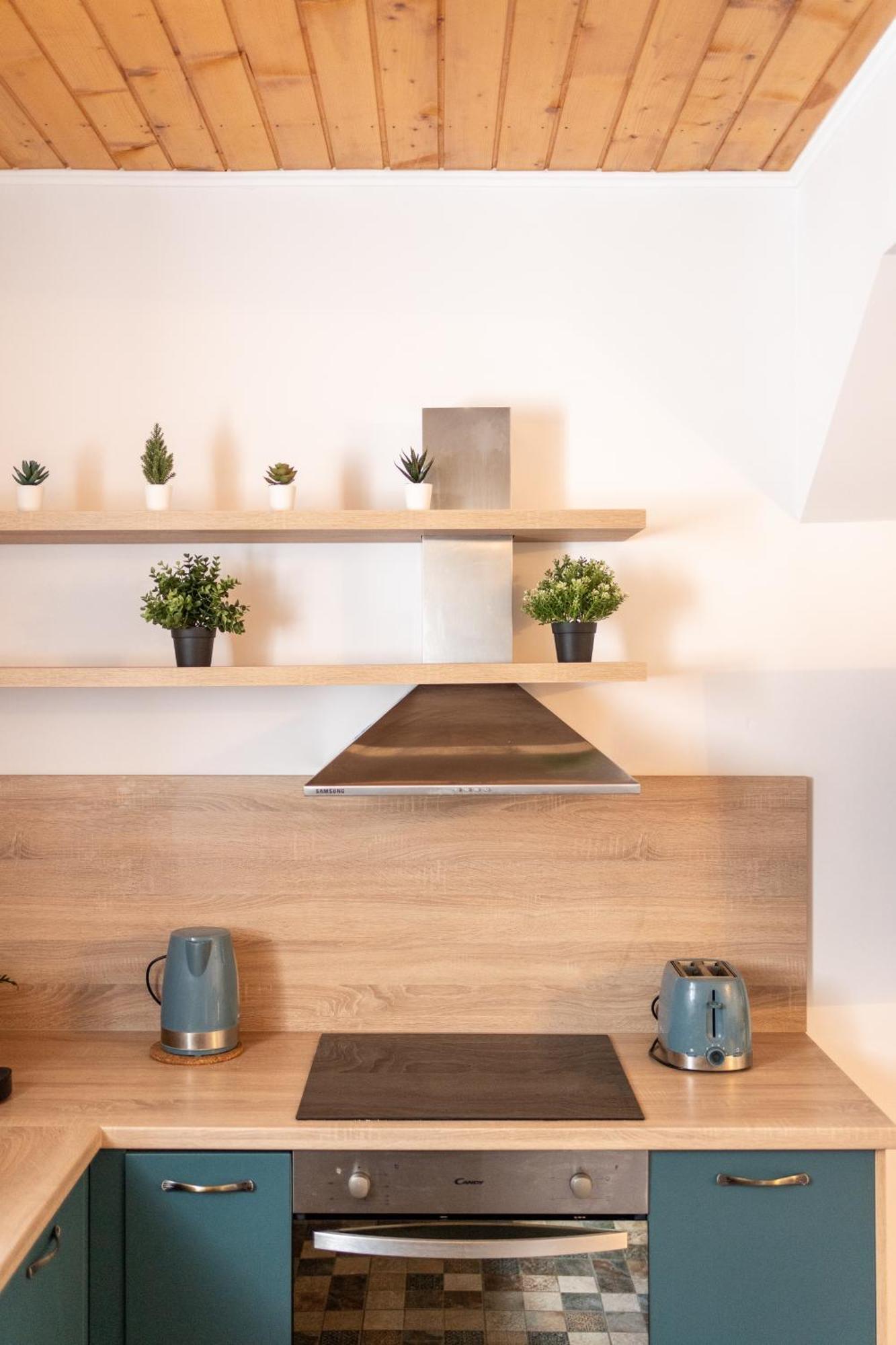 Dinvis Apartments Poiana Braşov Dış mekan fotoğraf