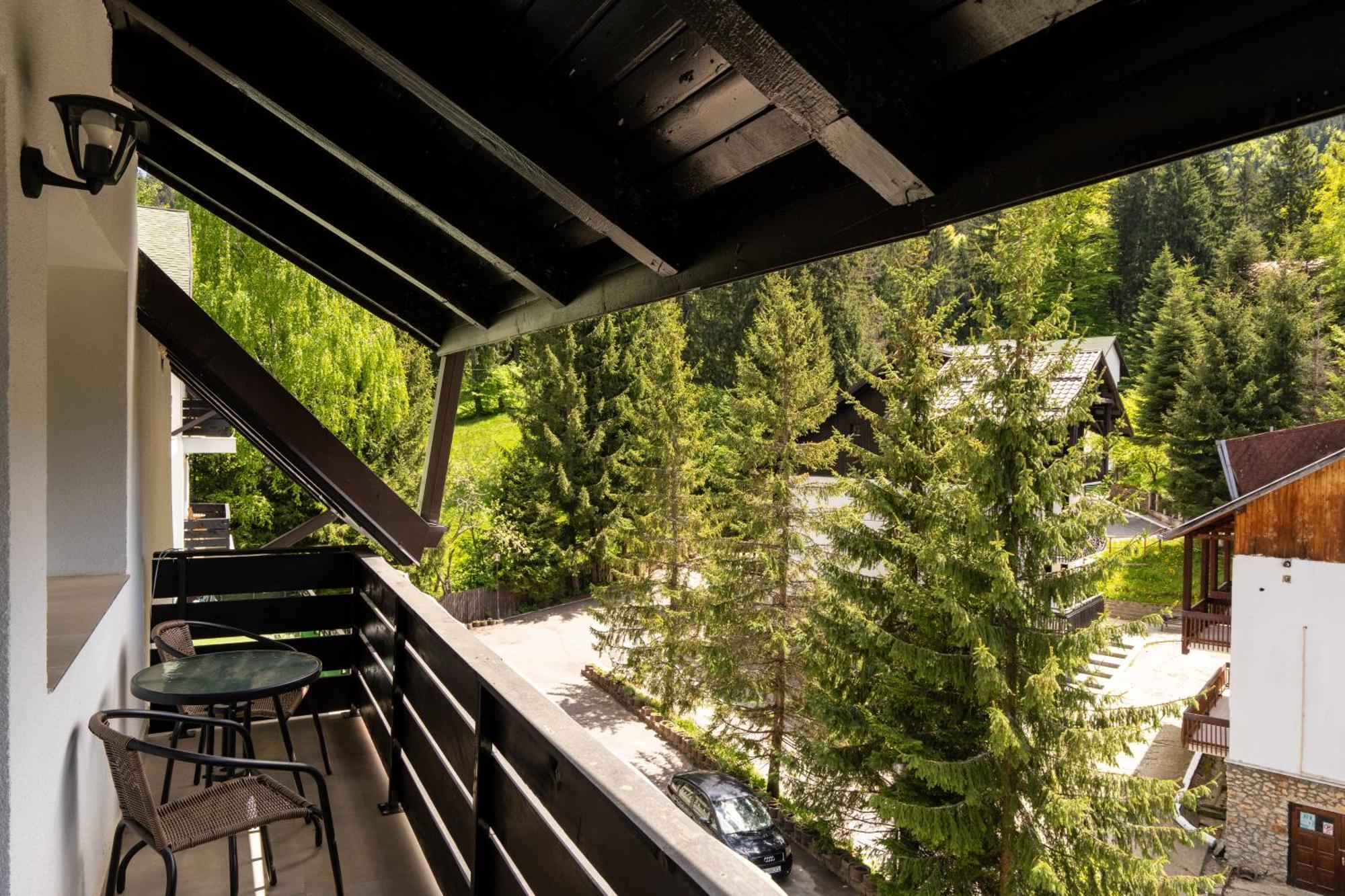 Dinvis Apartments Poiana Braşov Dış mekan fotoğraf