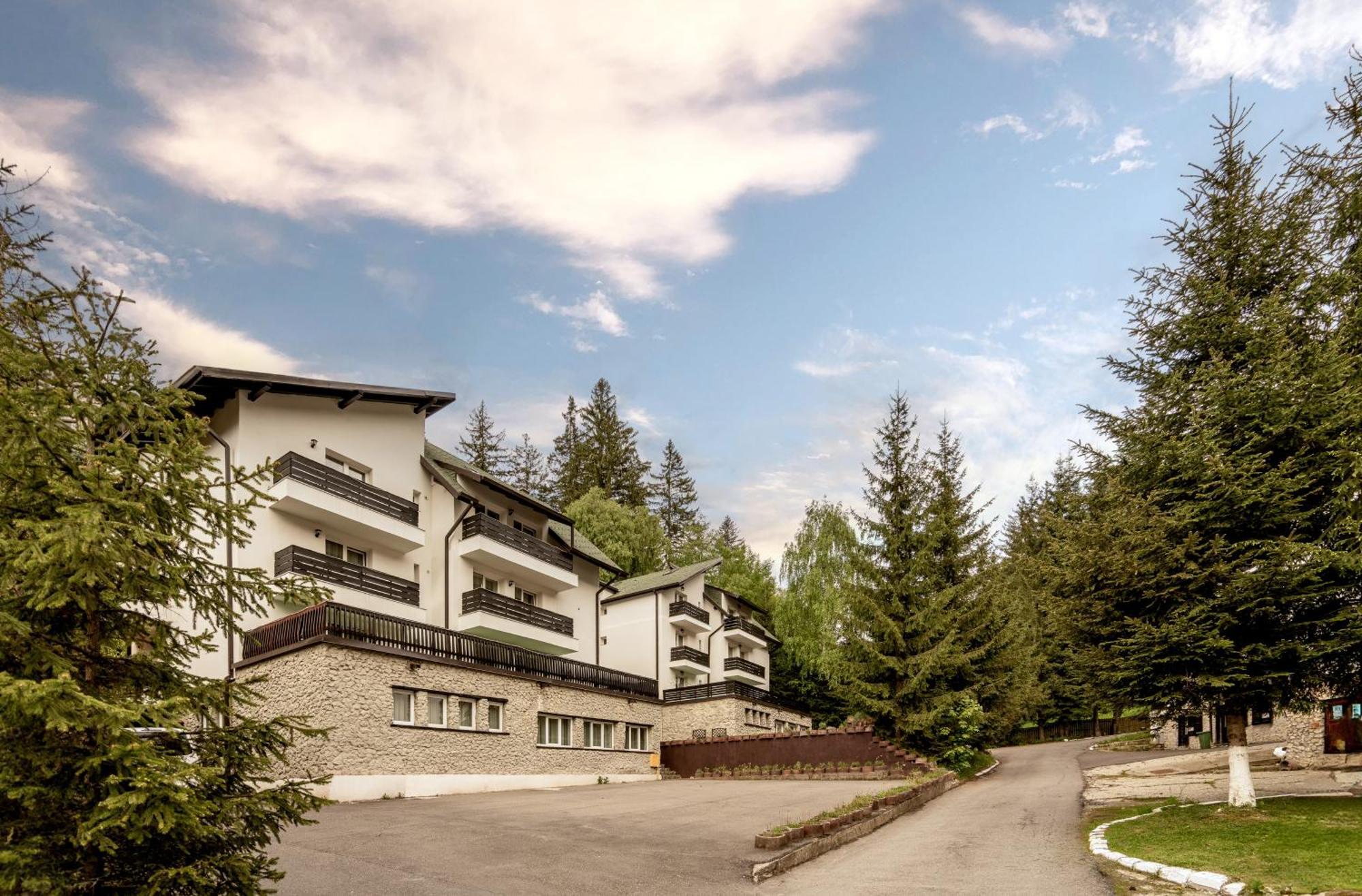 Dinvis Apartments Poiana Braşov Dış mekan fotoğraf